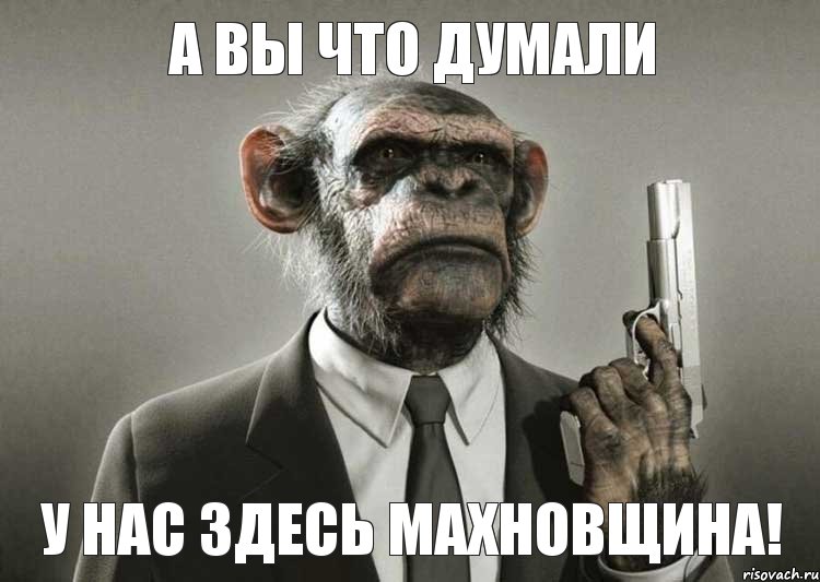 Так проверяют документы в Украине! Активисты-самозванцы совершают нападения и грабежи Так проверяют документы в Украине! Активисты-самозванцы совершают нападения и грабежи