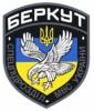 КиберБеркут - борьба с коричневой чумой на просторах интернета