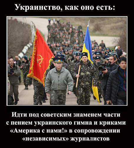 Закон о вступлении в НАТО, атомная энергетика и Юго-Восток Закон о вступлении в НАТО, атомная энергетика и Юго-Восток