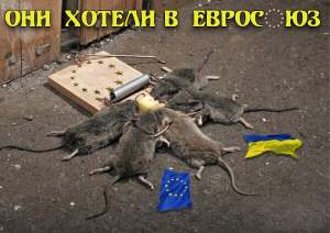 Украина -недостающий гвоздь в гроб Евросоюза.