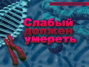 Слабый должен умереть