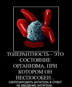 Кличко призвал отказаться от термина «Великая Отечественная Война»