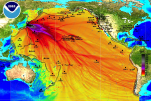 Катастрофы не бывают частными. Почему Фукусима до сих пор травит мир