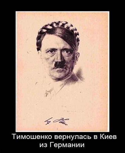 Рогозин назвал Тимошенко старой бледной поганкой Рогозин назвал Тимошенко старой бледной поганкой