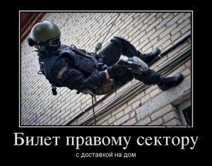 Беркуты умеют ждать, но ничего не забывают и не прощают