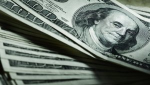 Глава комитета СФ высказался за ограничение хождения доллара в России