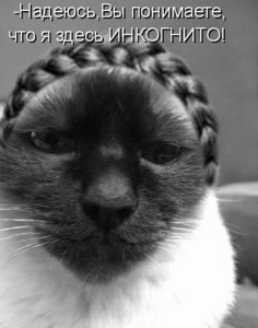 Профессия — репортер. Принцесса у параши (29.03.2014)