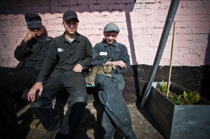 Заключенным выдадут оружие