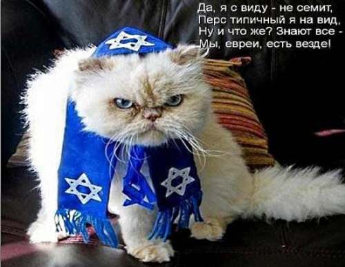 Евреи всё знают Евреи всё знают