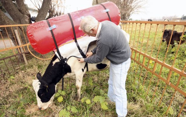 Укрнафтогазу на заметку. Как стать независимым от российского газа Укрнафтогазу на заметку. Как стать независимым от российского газа