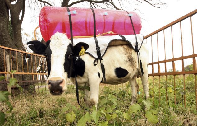 Укрнафтогазу на заметку. Как стать независимым от российского газа Укрнафтогазу на заметку. Как стать независимым от российского газа