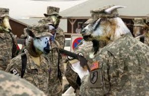 Союзная повестка: США спешно открывают против нас «молдавский» и «киргизский» фронты