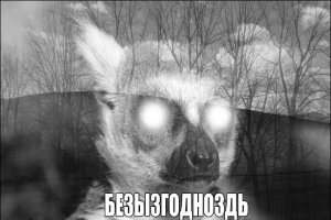 Левое спасение «Правого сектора»