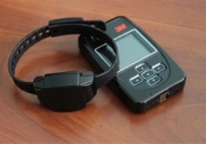 На «Топаза» надели электронный браслет и оставили под домашним арестом