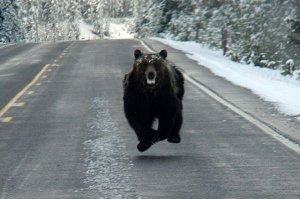 Начался процесс ликвидации однополярного мира