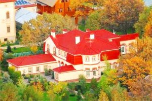 Лицемерие недели: Тимошенко задекларировала доходы: нет авто, дома и счетов