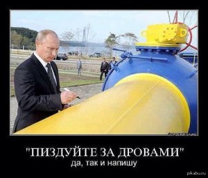 Субботние картинки, под пивко