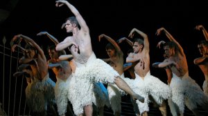 The Times: Россия не увидит гей-версию «Лебединого озера»