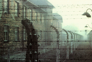 Александр Зубченко. "Украина: зачистка от расово неполноценных"