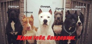 Затишье перед бурей (основано на событиях 9 апреля)