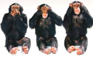 Поход на Юго-восток с широко закрытыми глазами