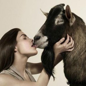 Птичку жалко....