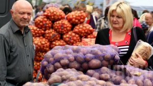 Россия впервые забраковала украинский картофель