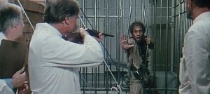 Жириновский намекнул: законный президент Янукович к 1 мая вернется в резиденцию