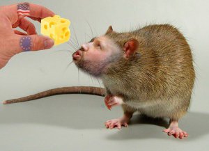 и.о. Царя нагнетает обстановку