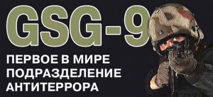 В Германии опровергли, что немецкий спецназ намерен штурмовать Славянск