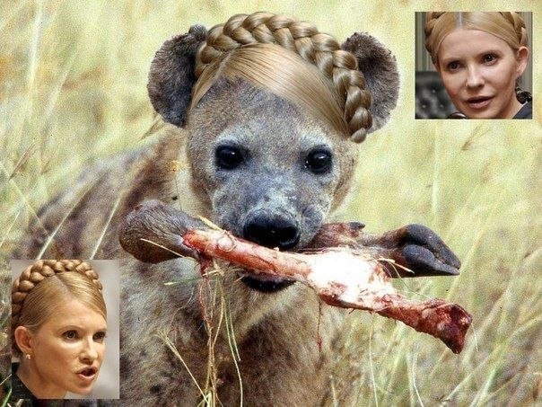 Тимошенко объявила сожжение людей в Одессе «защитой административных зданий» и что во всём виноват Путин и оккупанты! (ВИДЕО).