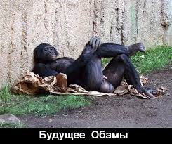 Обаму возбудил голый торс Путина Обаму возбудил голый торс Путина