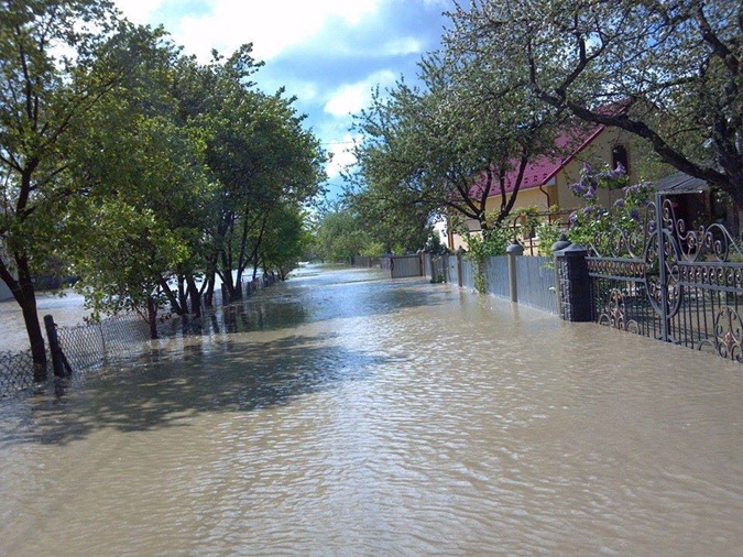 Бандерланд в катастрофе Бандерланд в катастрофе