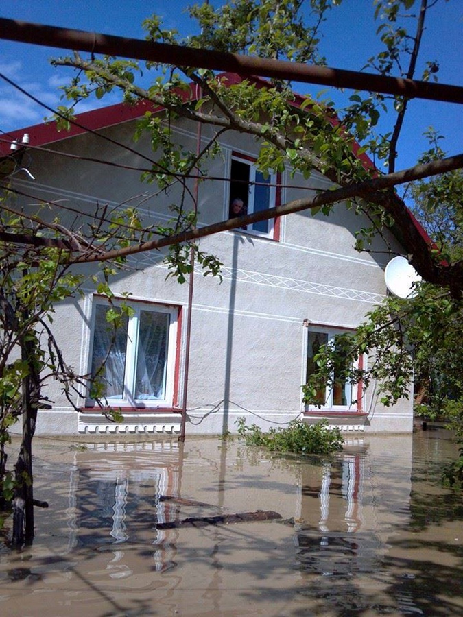 Бандерланд в катастрофе Бандерланд в катастрофе