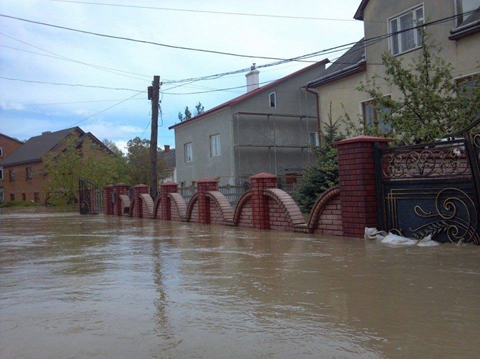 Бандерланд в катастрофе Бандерланд в катастрофе
