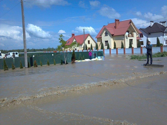 Бандерланд в катастрофе Бандерланд в катастрофе