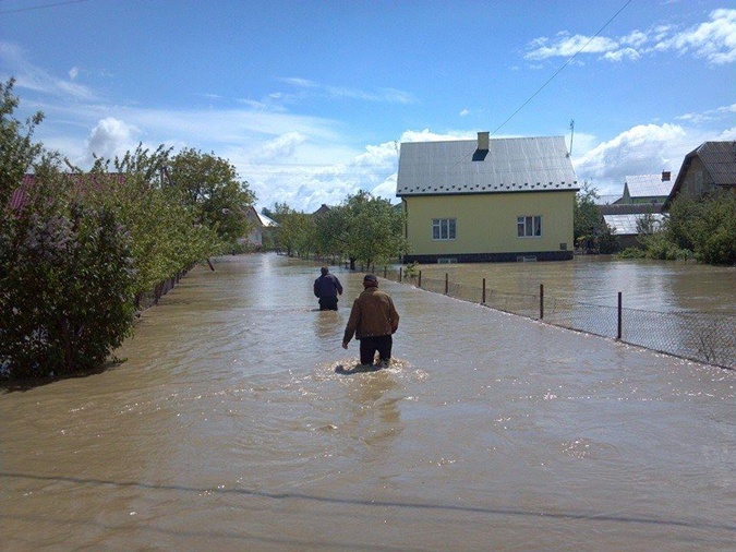 Бандерланд в катастрофе Бандерланд в катастрофе