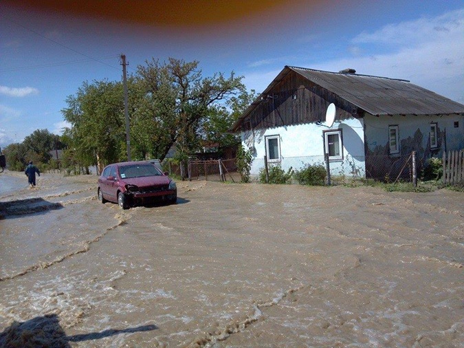 Бандерланд в катастрофе Бандерланд в катастрофе