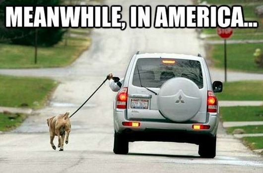 Тем временем в Америке…