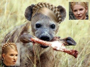 Тимошенко объявила сожжение людей в Одессе «защитой административных зданий» и что во всём виноват Путин и оккупанты! (ВИДЕО).