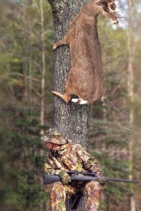 Перерыв на позитив с братьями нашими меньшими