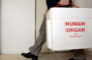 Европа разбирает правосеков на органы?