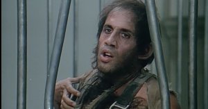 Несколько слов об этнической войне, как дополнительный материал к статье "Гумилёв и бандерогенез II"