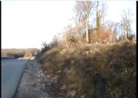 Вторжение нацгвардии в Славянск