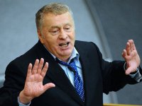 Жириновский о Референдуме на Донбассе