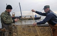 Снайперы расстреляли рыбаков под Краматорском: трое убиты