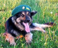 Уважаемые таможенники и граница ДНР и ЛНР!