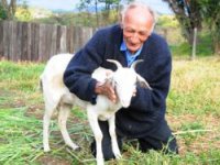 Торжество толерантности общечеловеков.