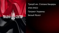 Правый сектор Евромайдана (часть 1)