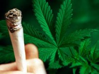 Избирателям в США предложили менять голоса на марихуану